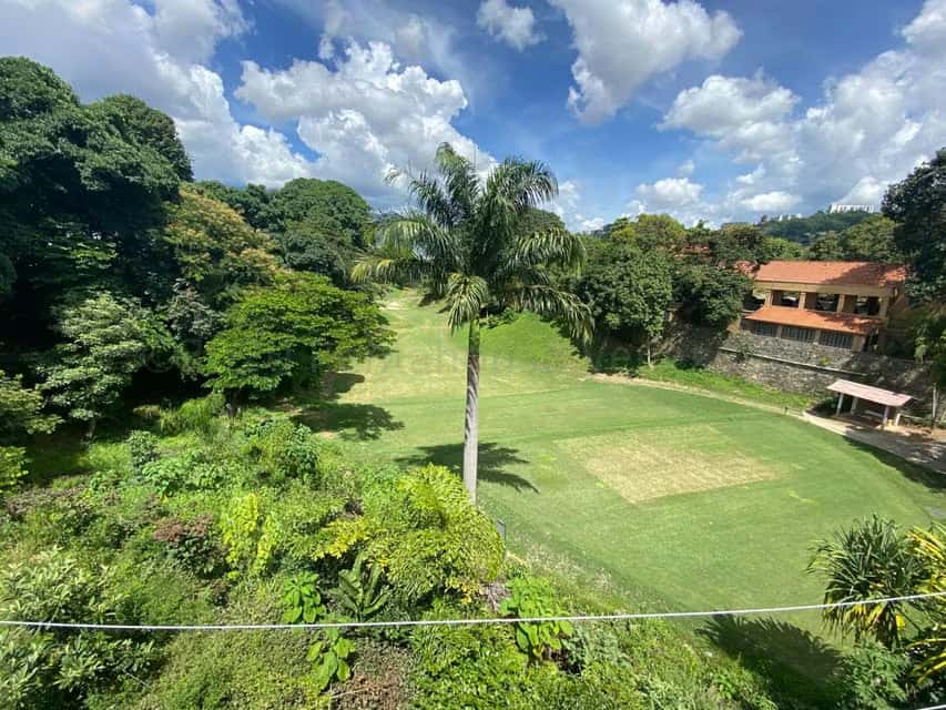 View 19