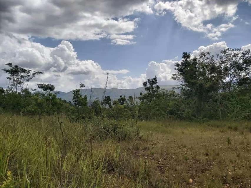 Vista 9