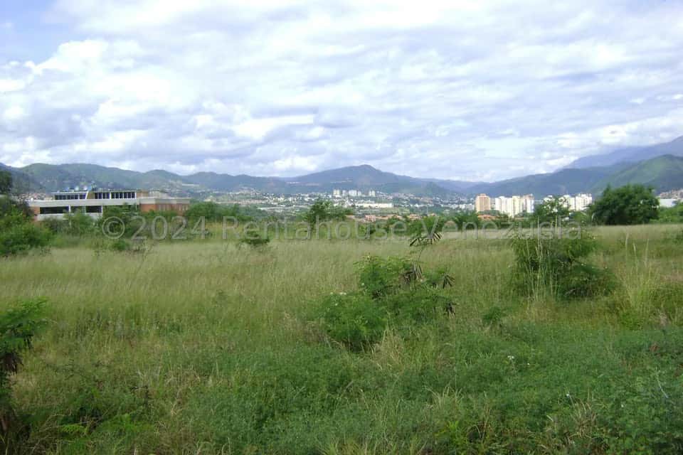 View 12