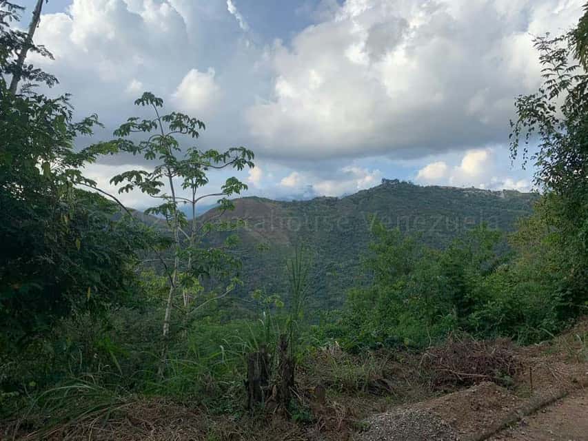 Vista 9