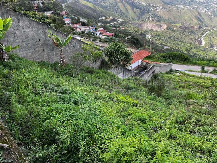 Vista 7