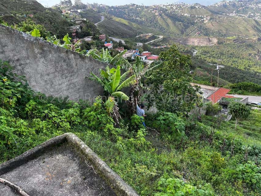 Vista 10