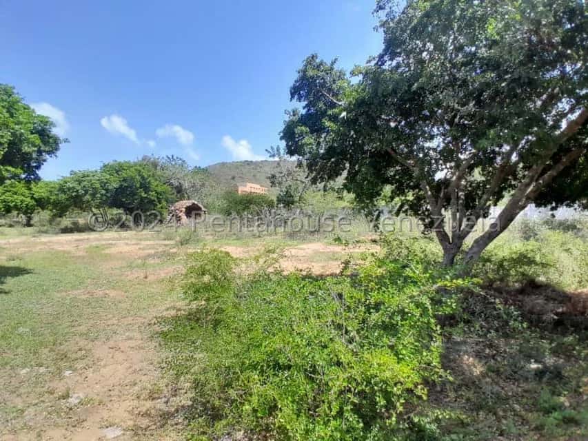 View 3