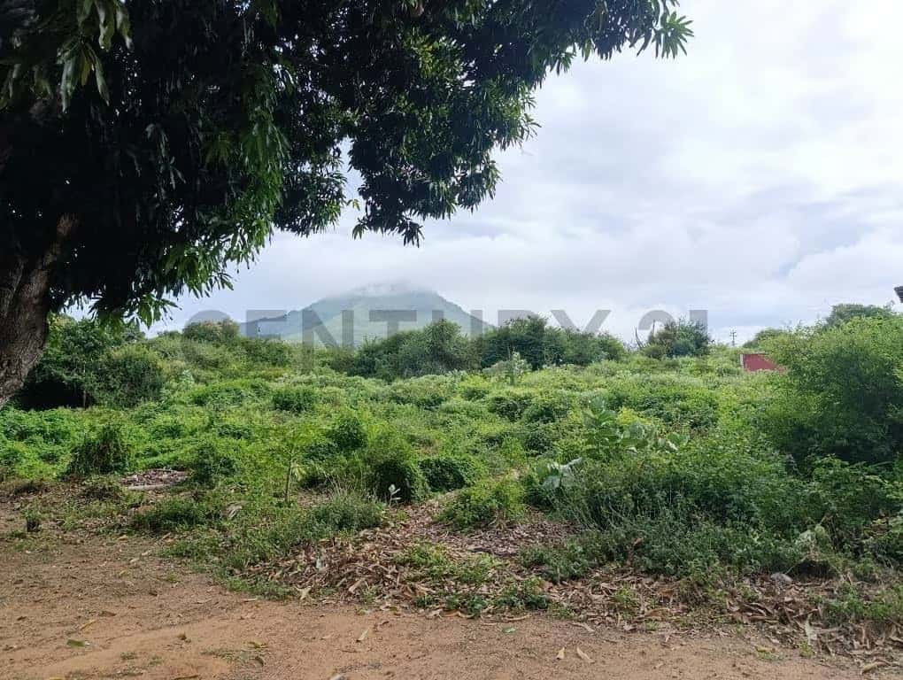 Vista 1