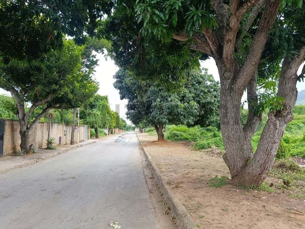 Vista 2