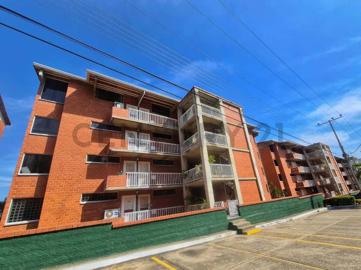Vista 1