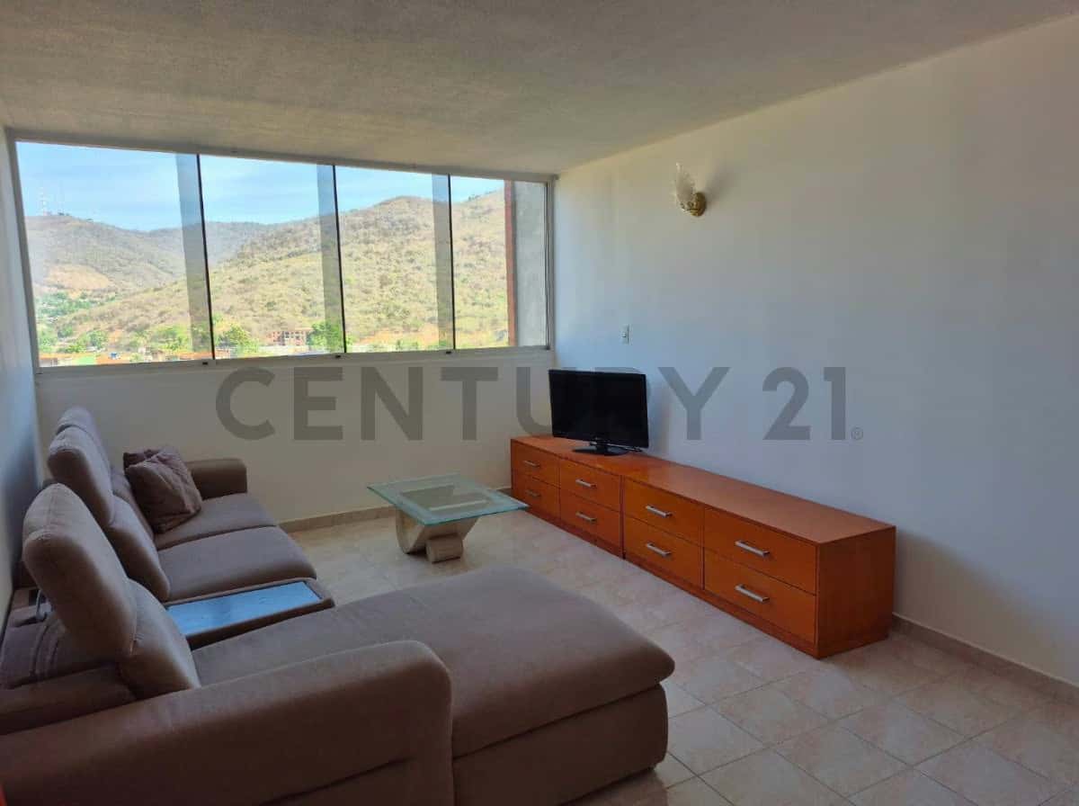 Vista 6