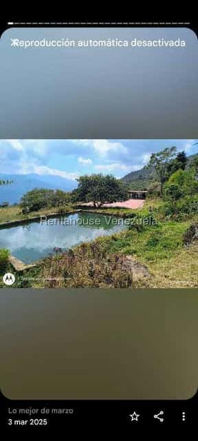 View 151