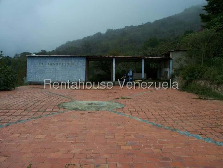 View 18