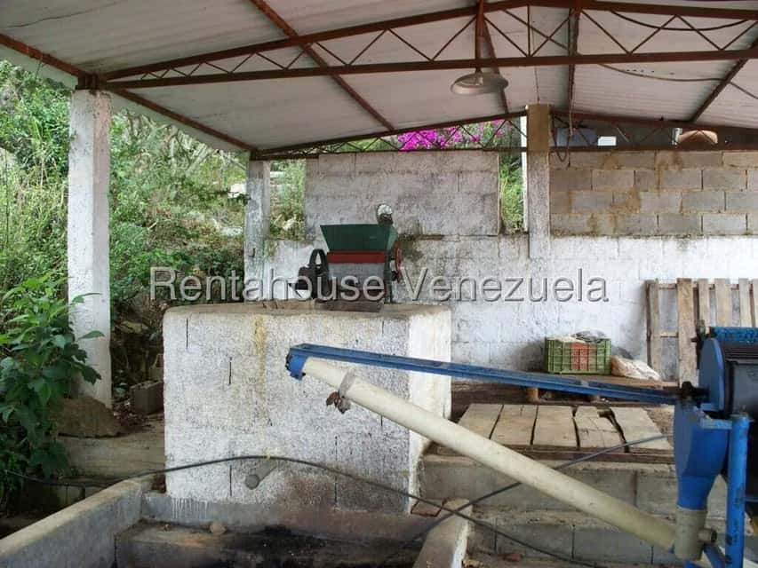 View 23