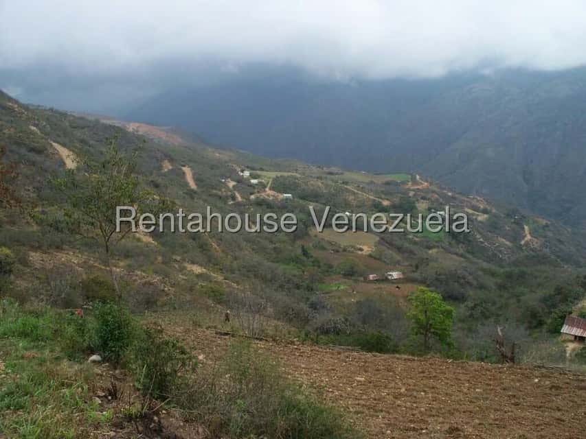 View 33
