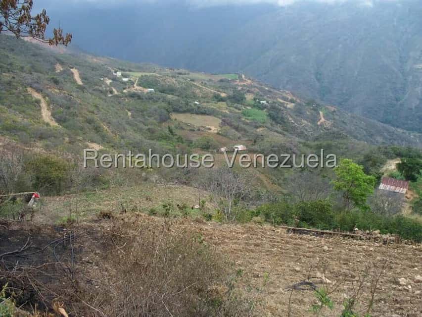 View 35