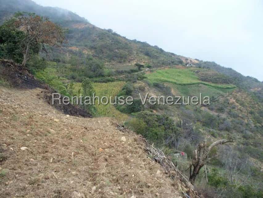 View 37