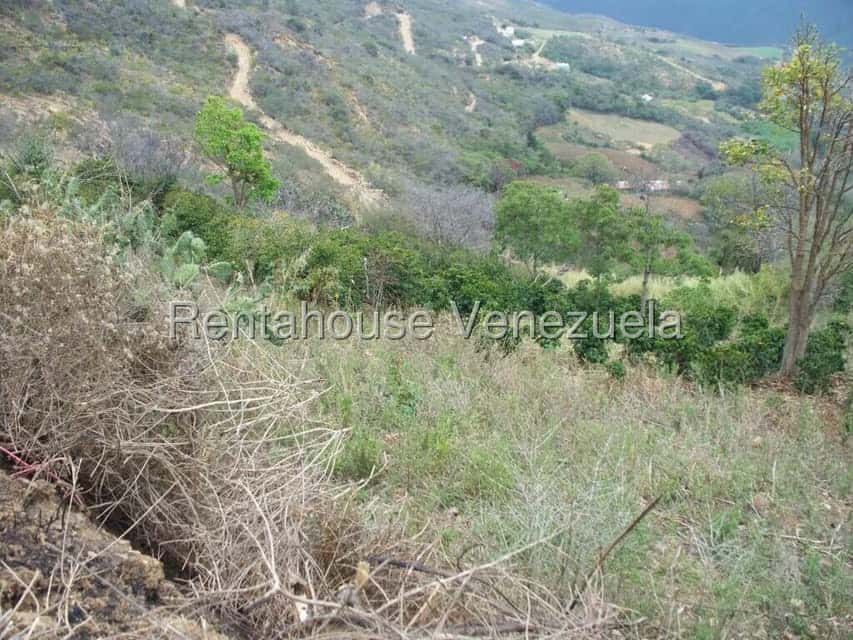 View 39