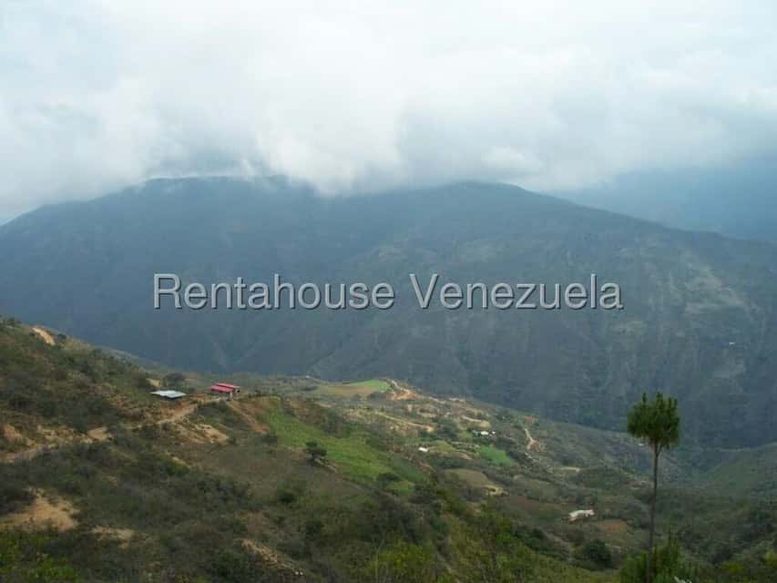 View 6