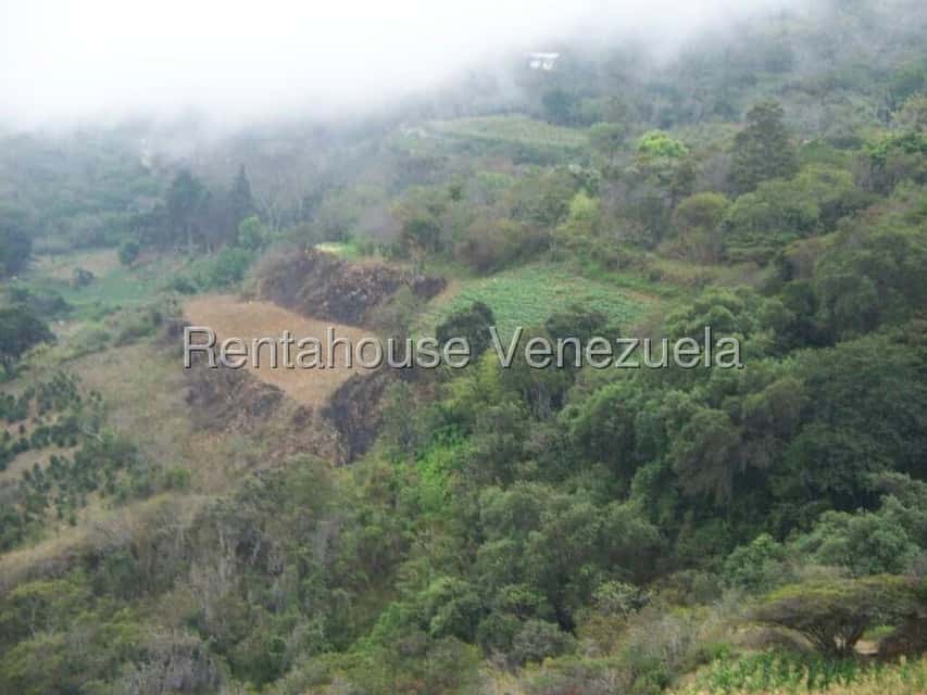 View 53