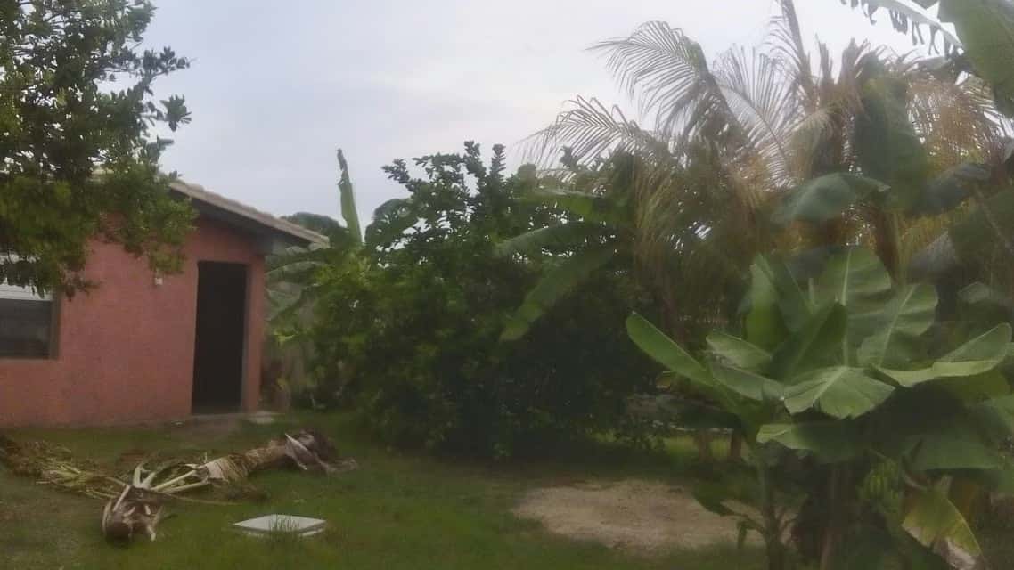 Vista 1