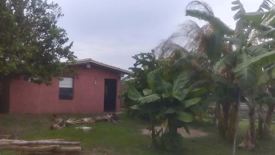 Vista 2