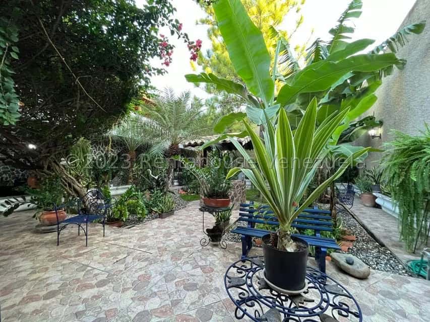 View 36