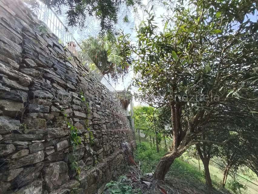 Vista 39