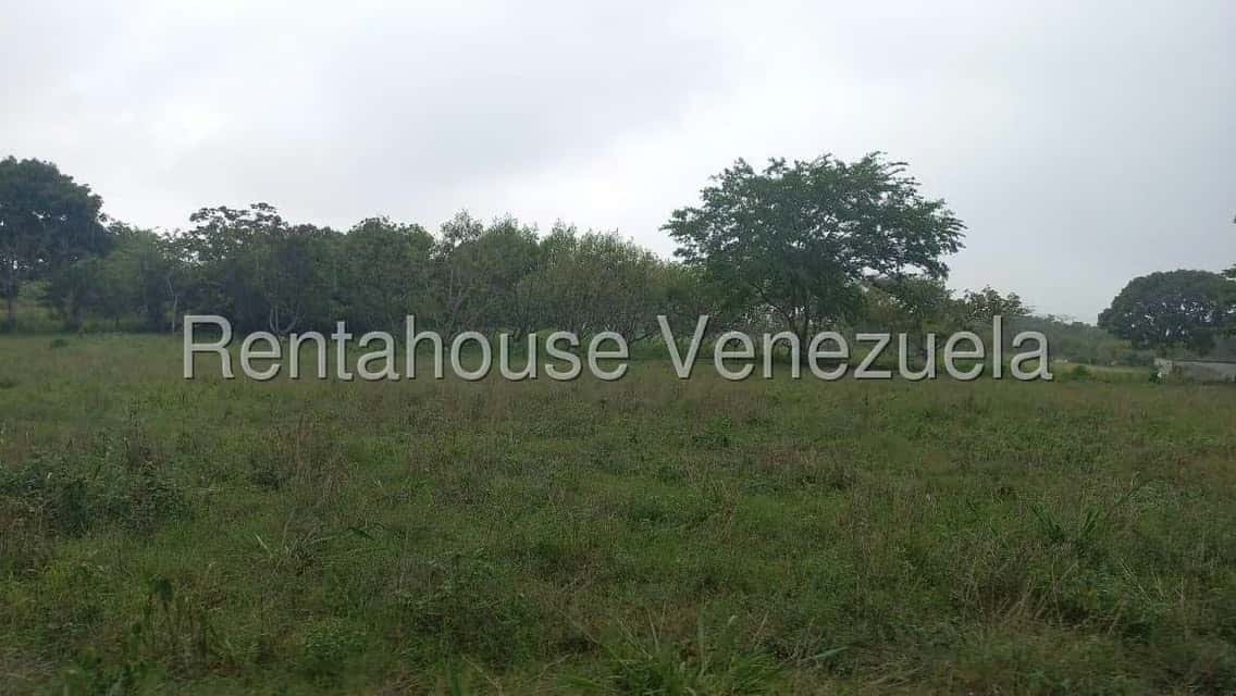 Vista 1