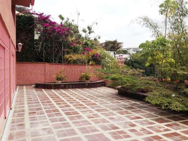 Vista 13