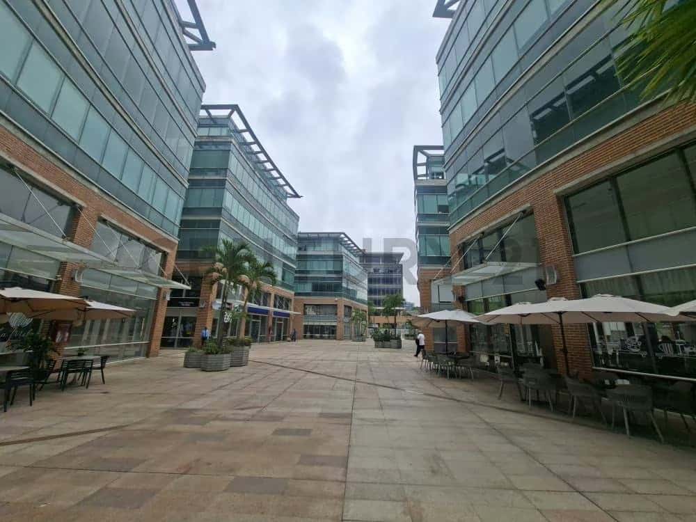 Vista 1
