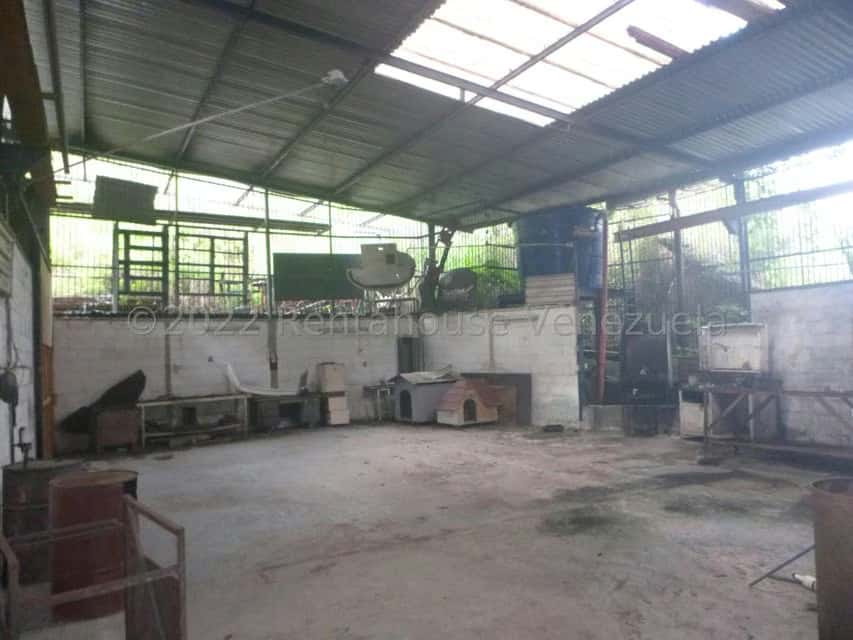 View 10