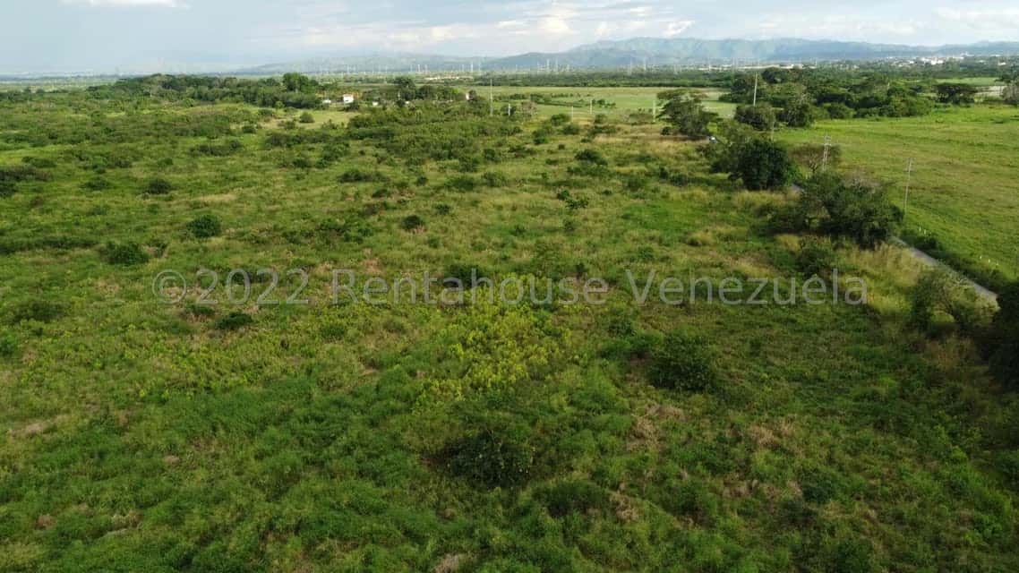 Vista 23