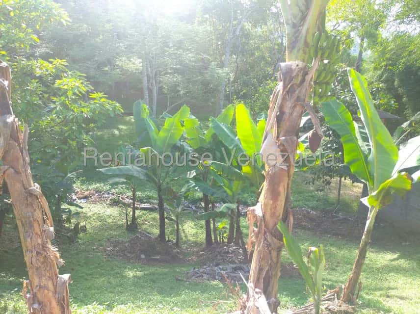 View 30