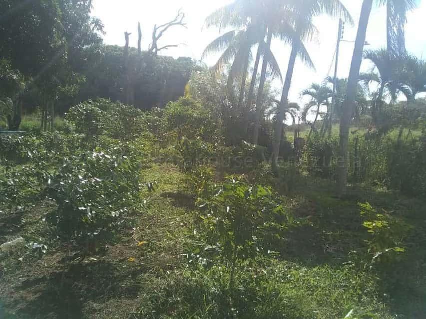 View 15