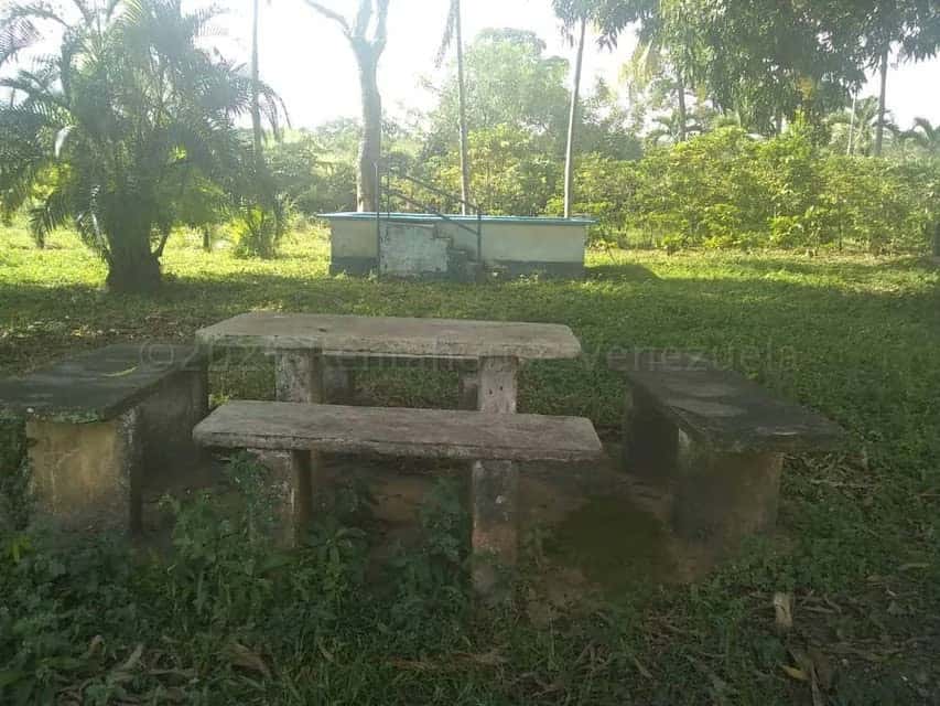 View 18
