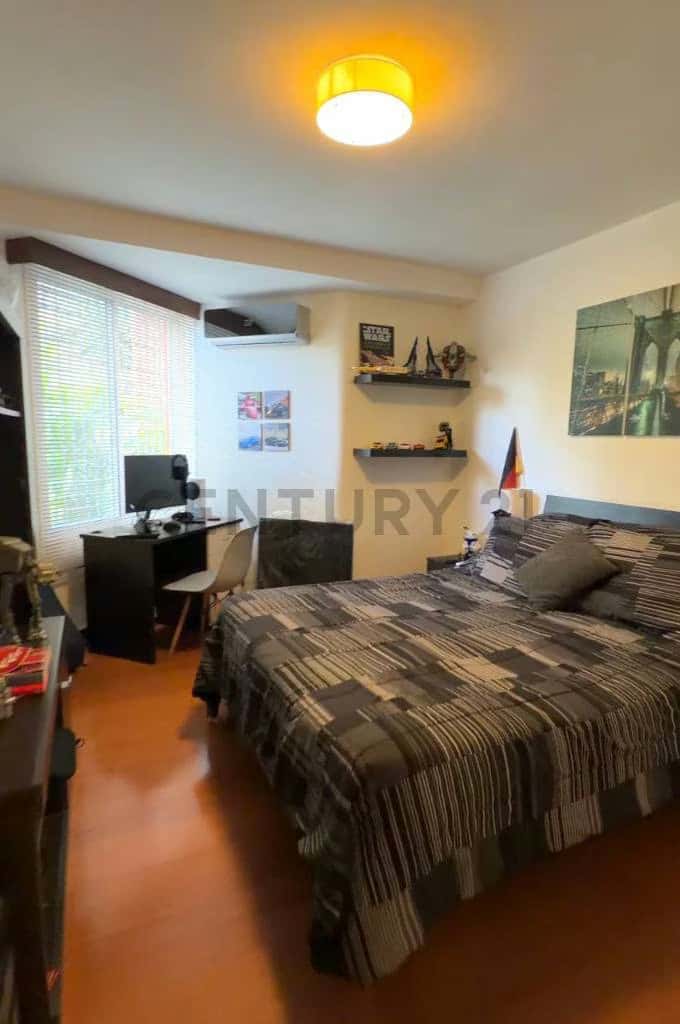 Vista 13