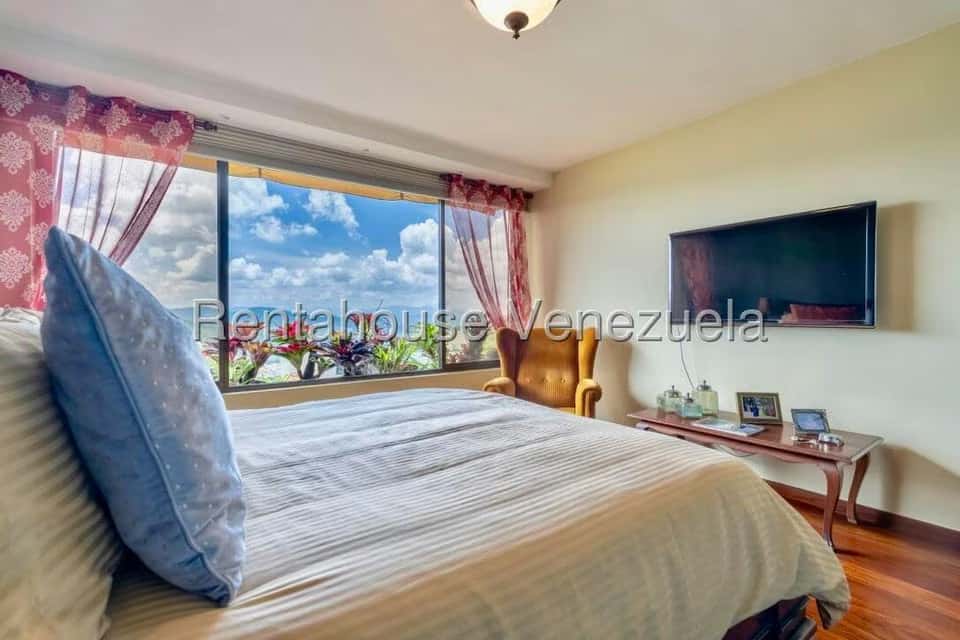 View 31