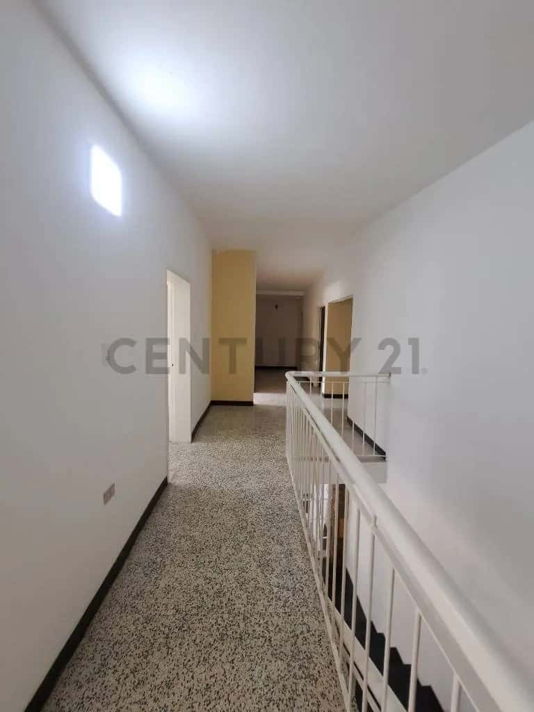 Vista 19