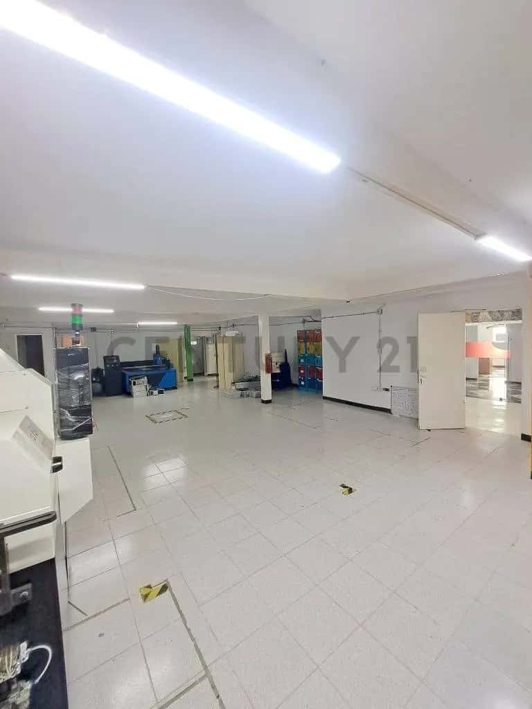 Vista 5