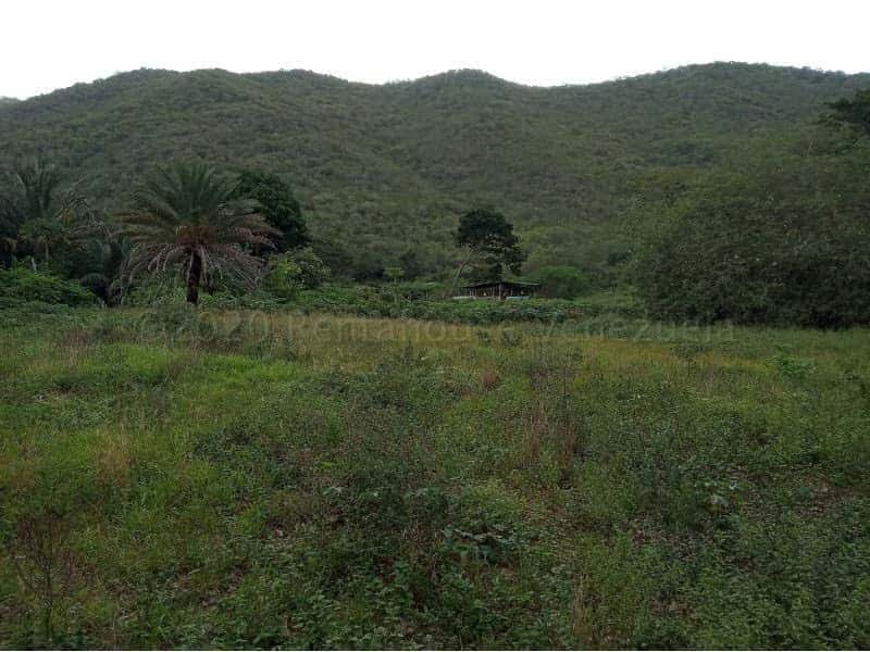 Vista 1