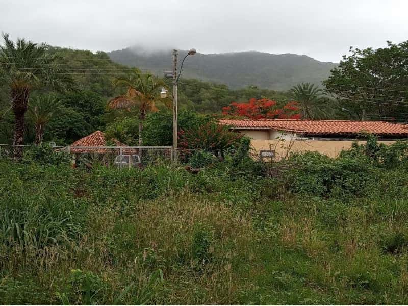 Vista 3
