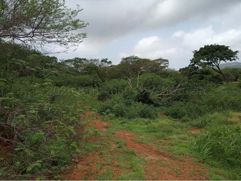 Vista 5