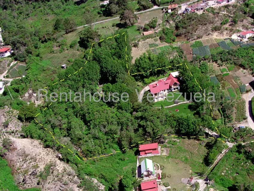 View 23