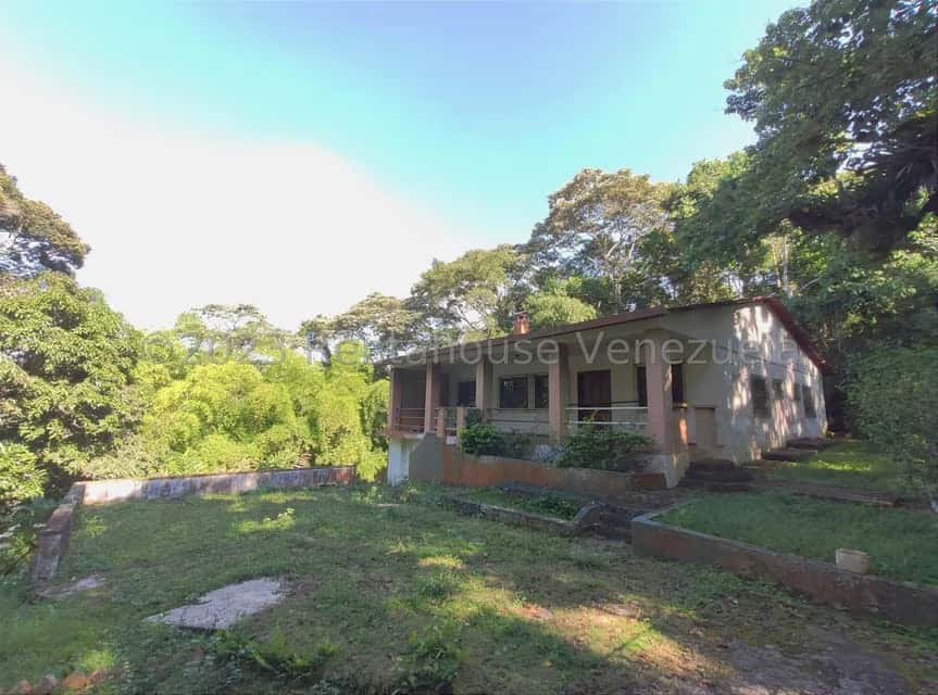 View 35