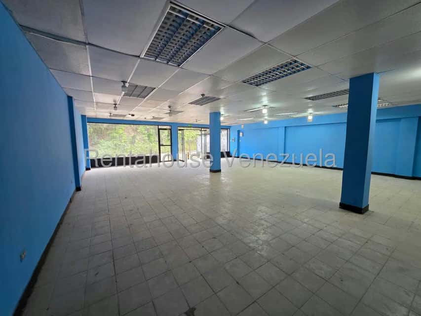 Vista 6