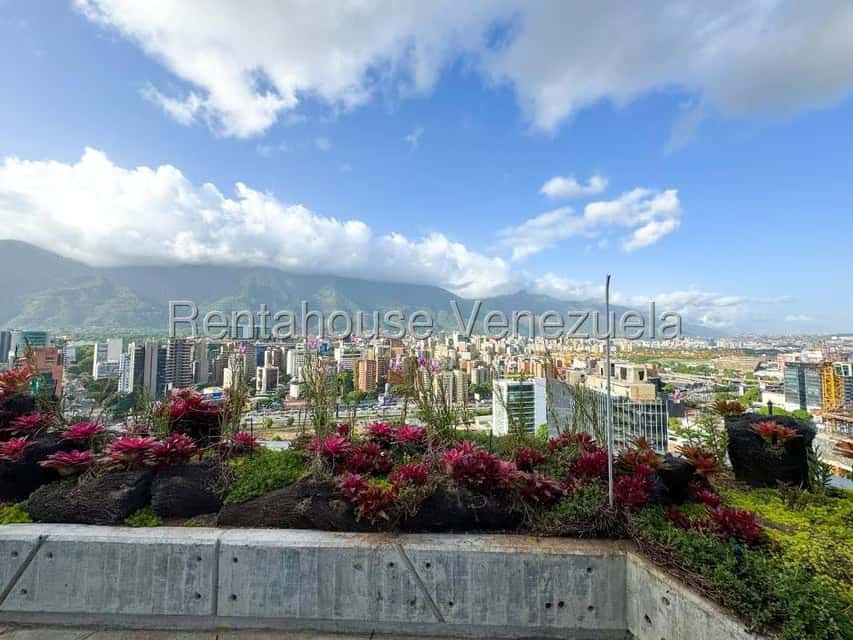 Vista 42