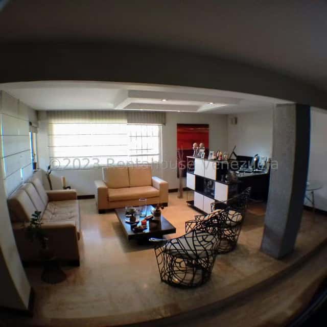 Vista 31