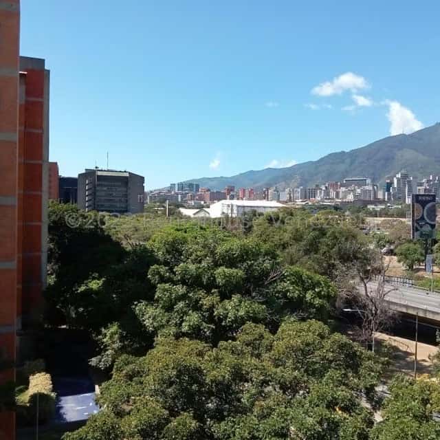 Vista 38