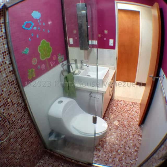 Vista 50