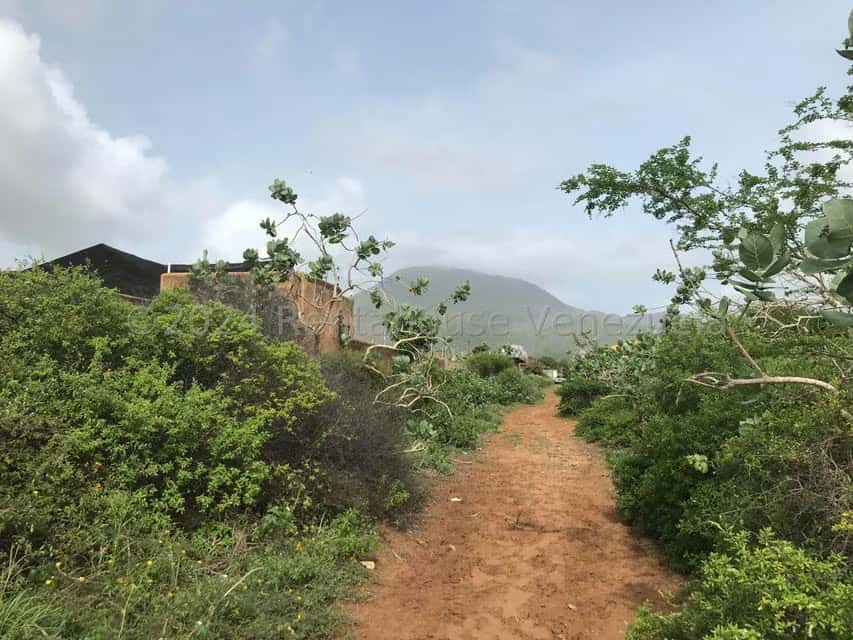 Vista 9