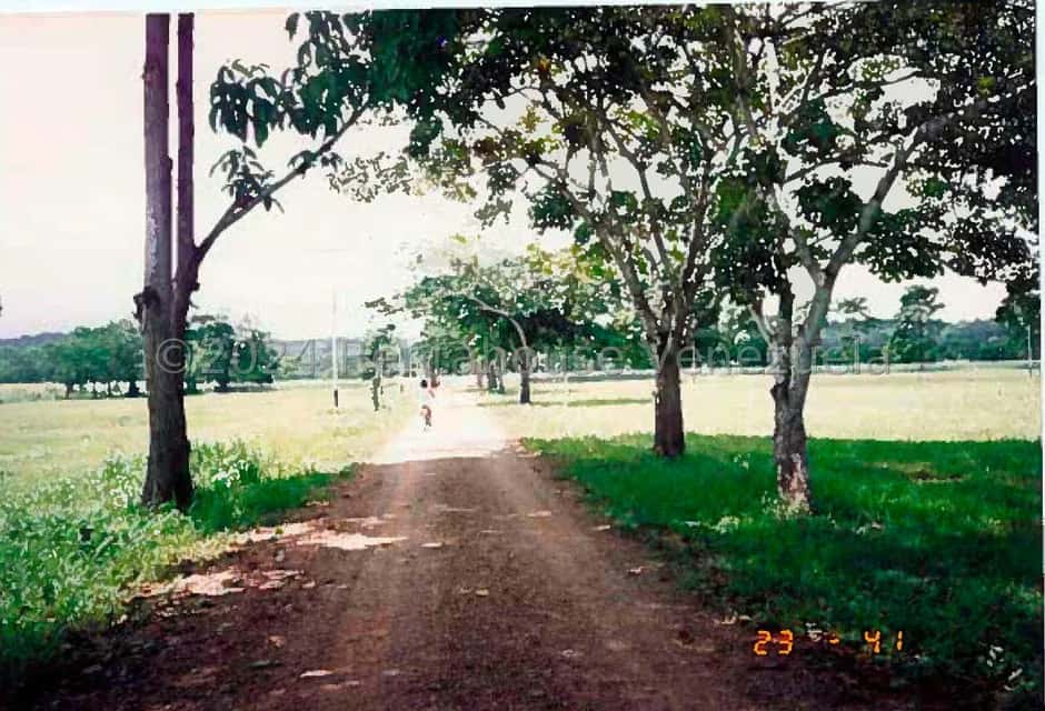 View 1