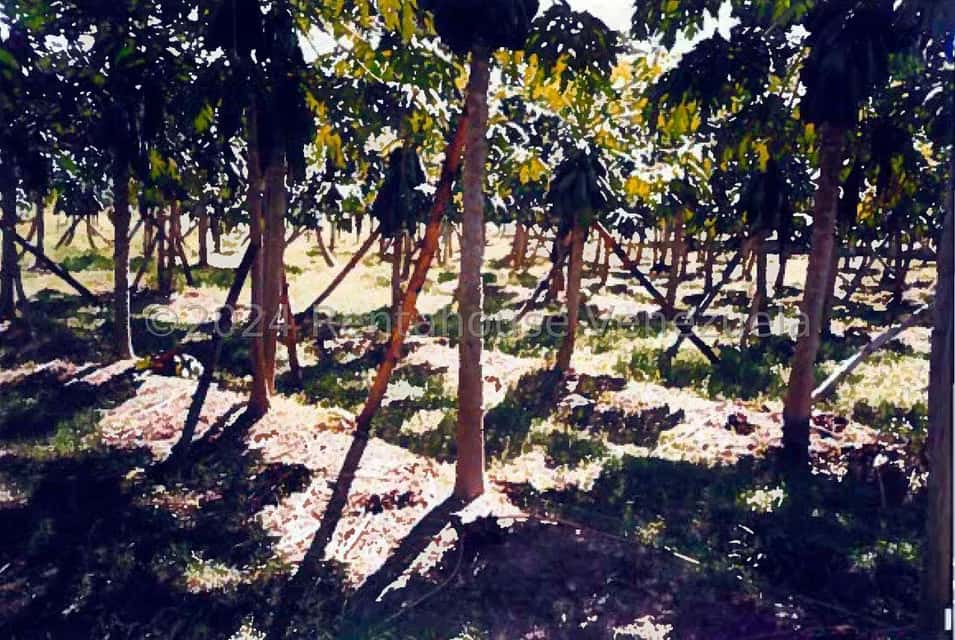 View 3