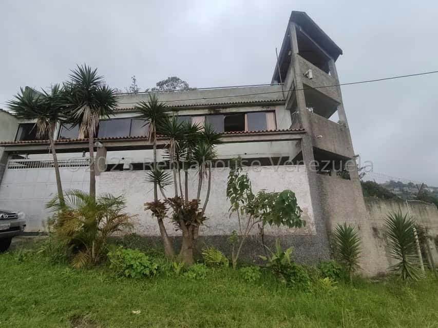 Vista 55
